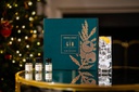 The Gin Advent Calendar (2024)