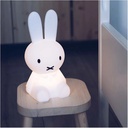 Miffy First Light