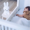 Miffy First Light