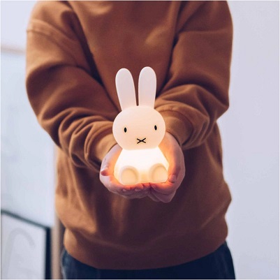 Miffy, Bundle of Light