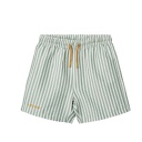 Duke Board Shorts: Stripe: Peppermint/Crisp White
